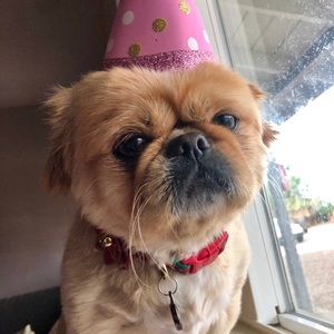 Meet your Posher, Ellen